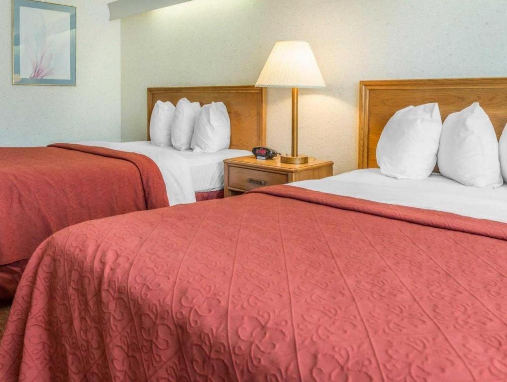 Kittanning Quality Inn Royle מראה חיצוני תמונה
