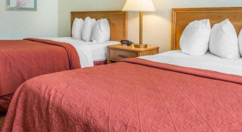 Kittanning Quality Inn Royle מראה חיצוני תמונה