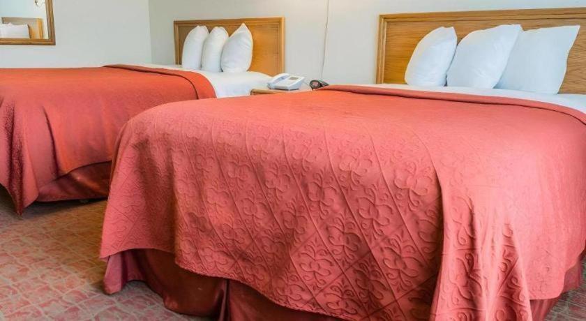 Kittanning Quality Inn Royle מראה חיצוני תמונה